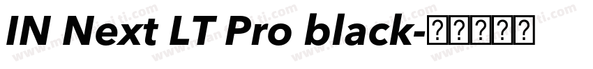 IN Next LT Pro black字体转换